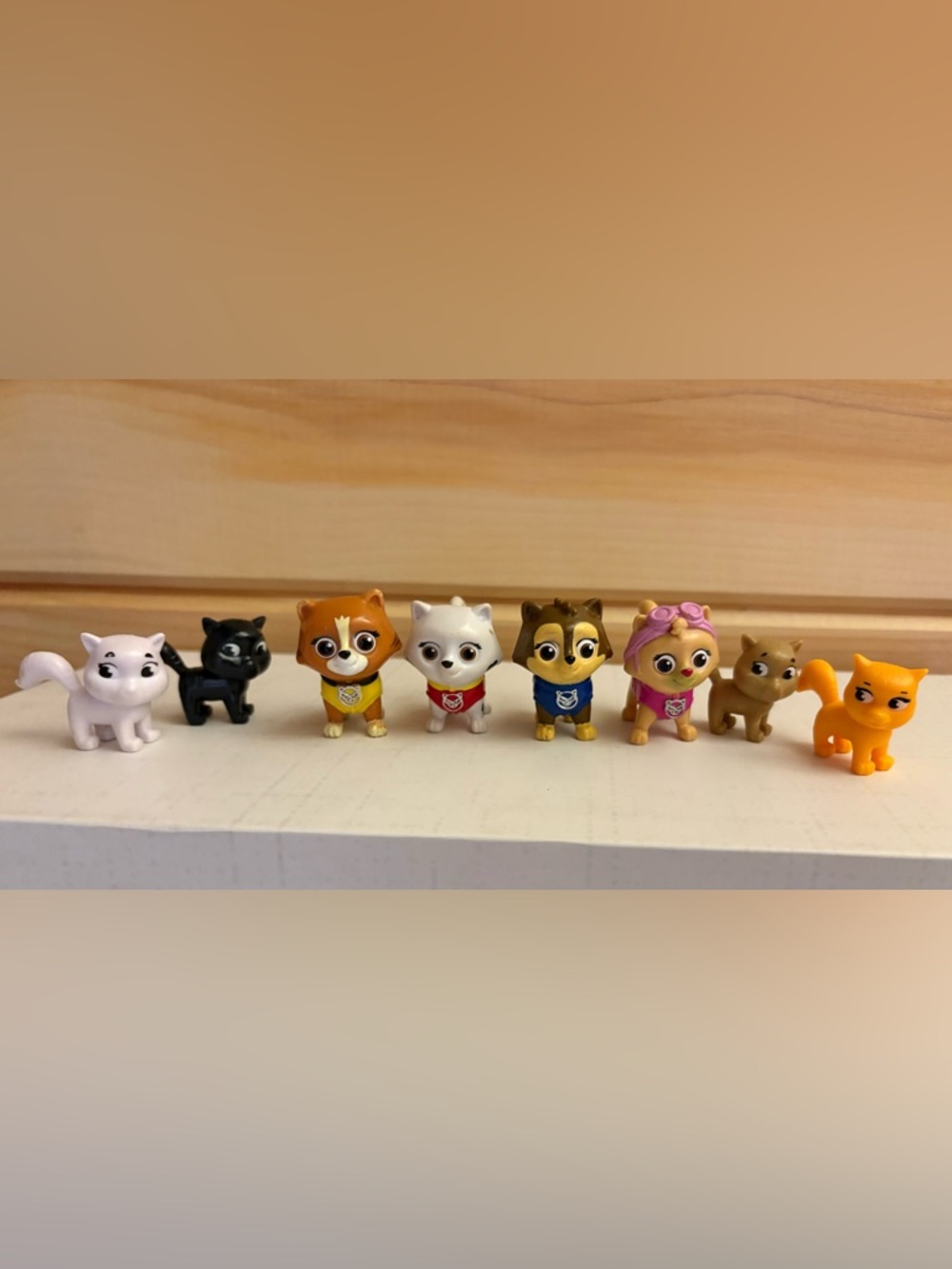 Paw patrol cats kittens